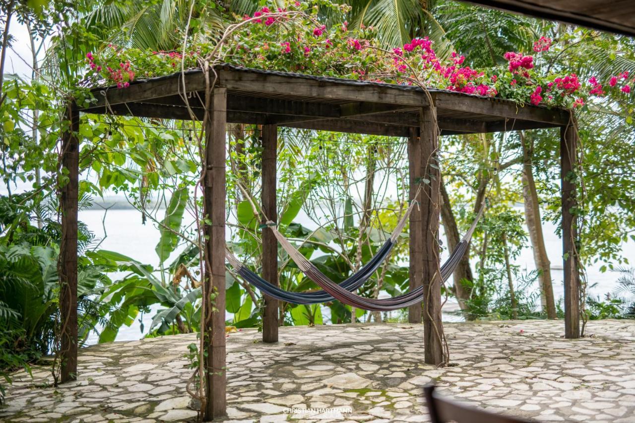 Hotel Gringo Perdido El Remate Ngoại thất bức ảnh