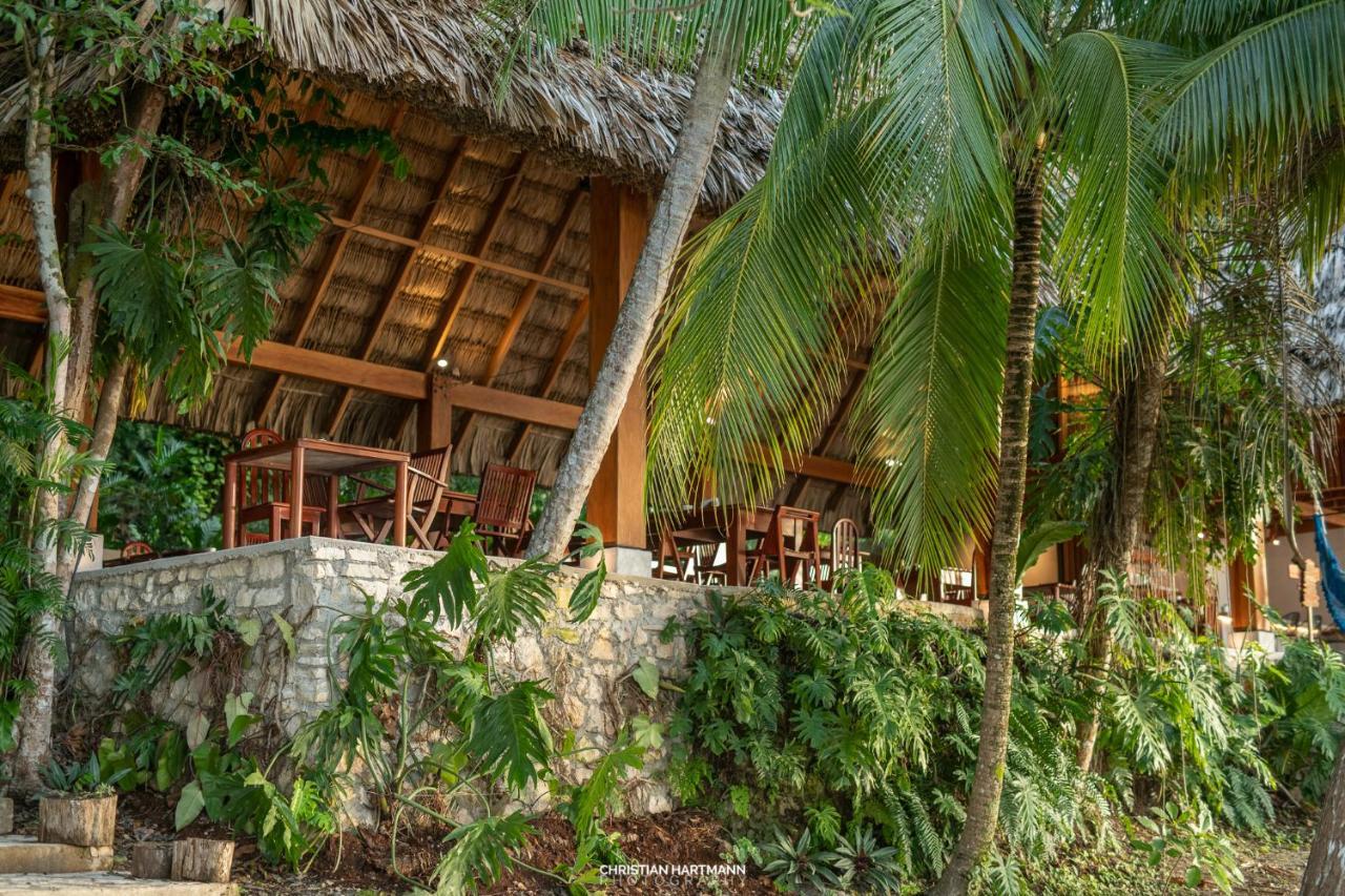 Hotel Gringo Perdido El Remate Ngoại thất bức ảnh
