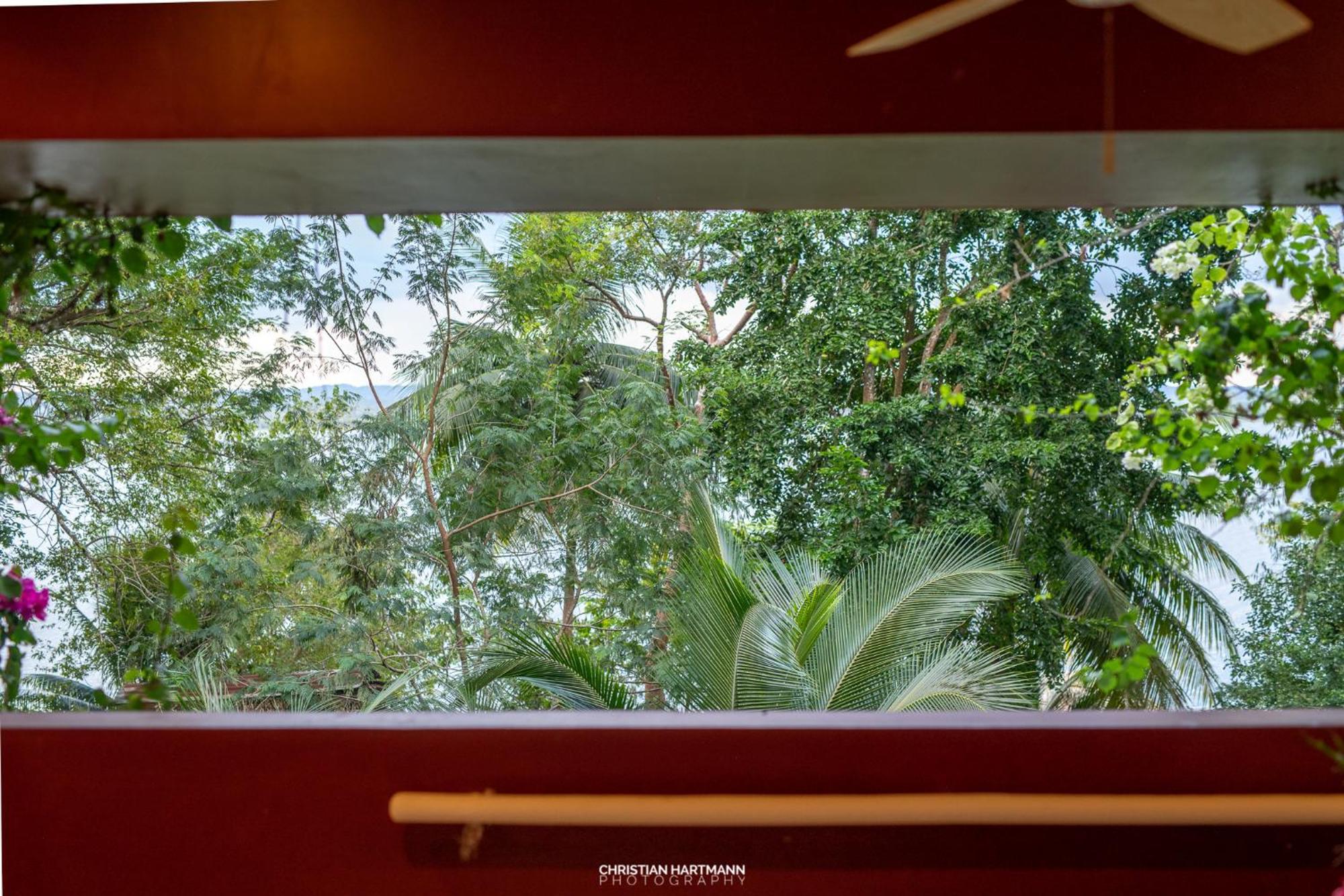 Hotel Gringo Perdido El Remate Phòng bức ảnh