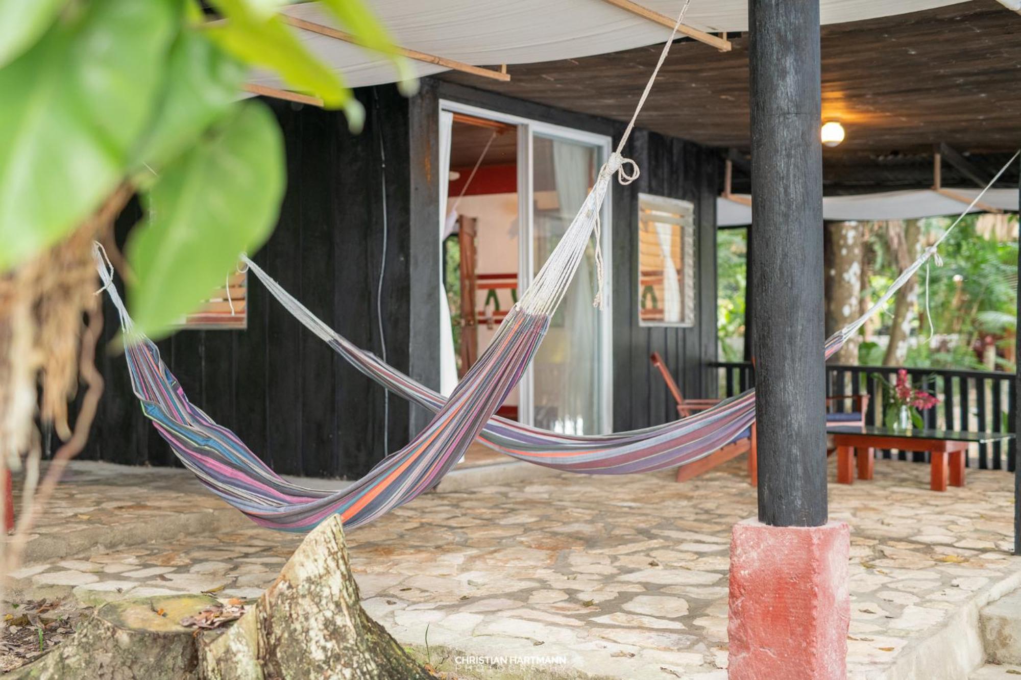 Hotel Gringo Perdido El Remate Phòng bức ảnh